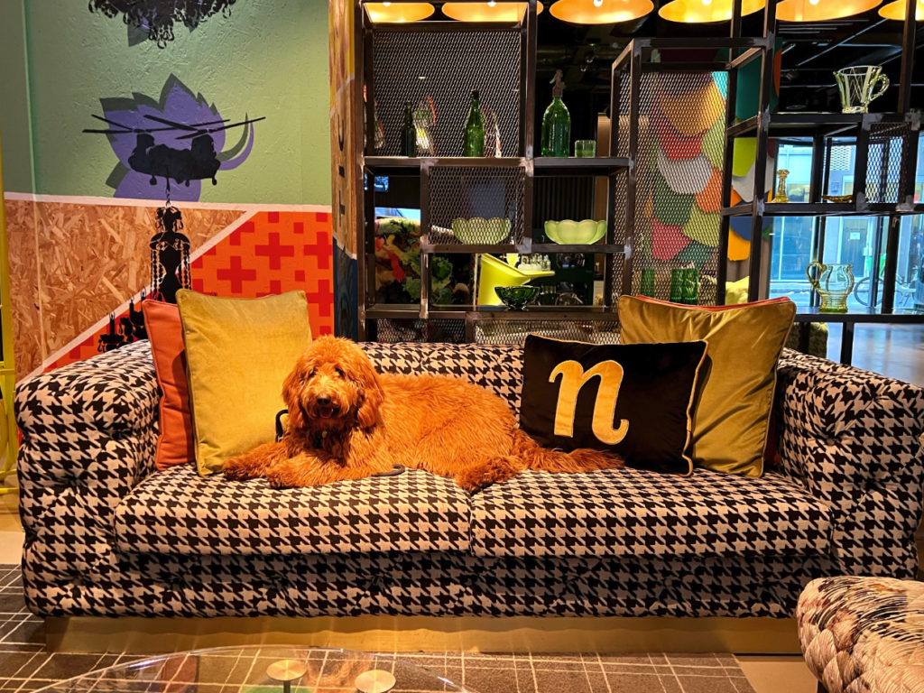 nhow London Offers Free Pet Stays for April and Adds Doggy Dinners to Menu